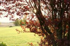 Magali BIANCO - BULLES DE SOURIRES